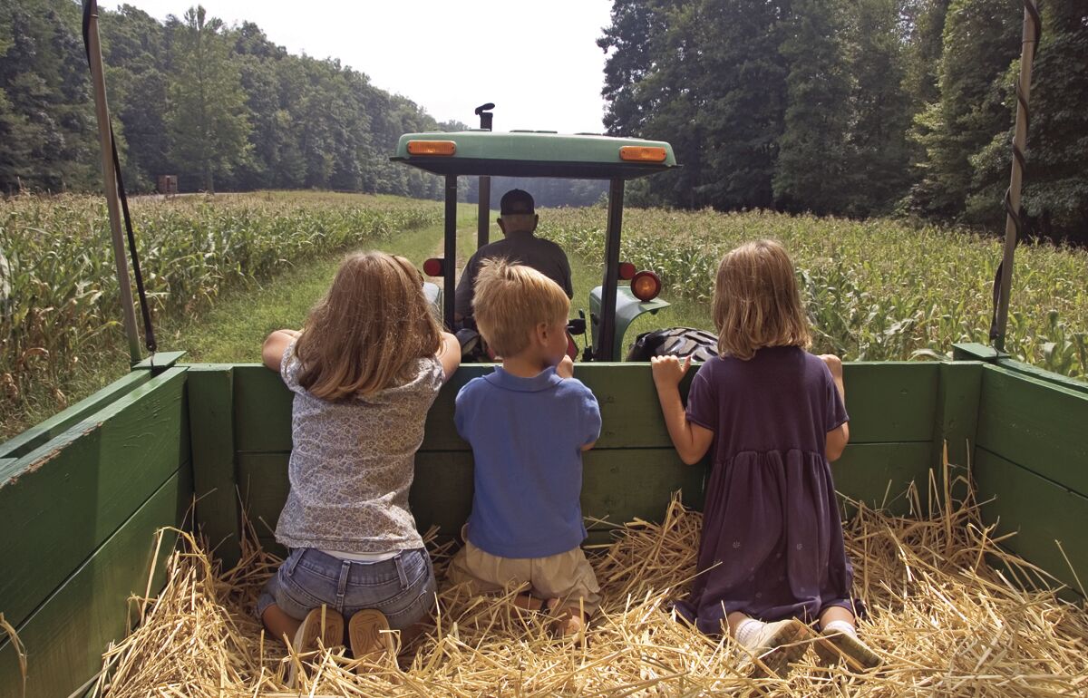 Brookdale Farms | Through Nov. 6